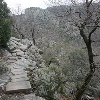 Photo de france - La randonnée du Mont Caroux